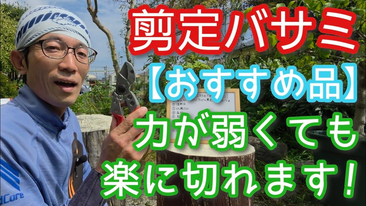 【楽に切れる剪定バサミ】握力の弱い方にもおすすめのアルスVA-7✂️✨