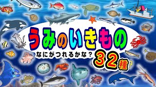 【子供が喜ぶ水族館】海の生き物 お魚さんたちが大集合！何が釣れるかな？20種以上！さかなの名前ずかん★サメ・クジラ・カニ・たこ・マンタ★未就学児向け教育｜Fish【知育動画】sea animals