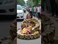 Giant Python Attacks Woman On Beach Road Shocking Wildlife Encounter Real Snake Attack 2025 mp3