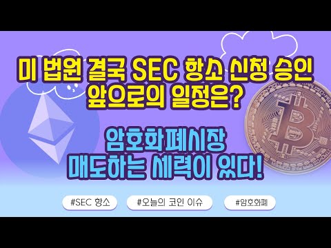 美 법원 <strong>결국</strong> SEC <strong>항소</strong> 신청 승인, 앞으로의 일정은? / 이지영의 인사이트