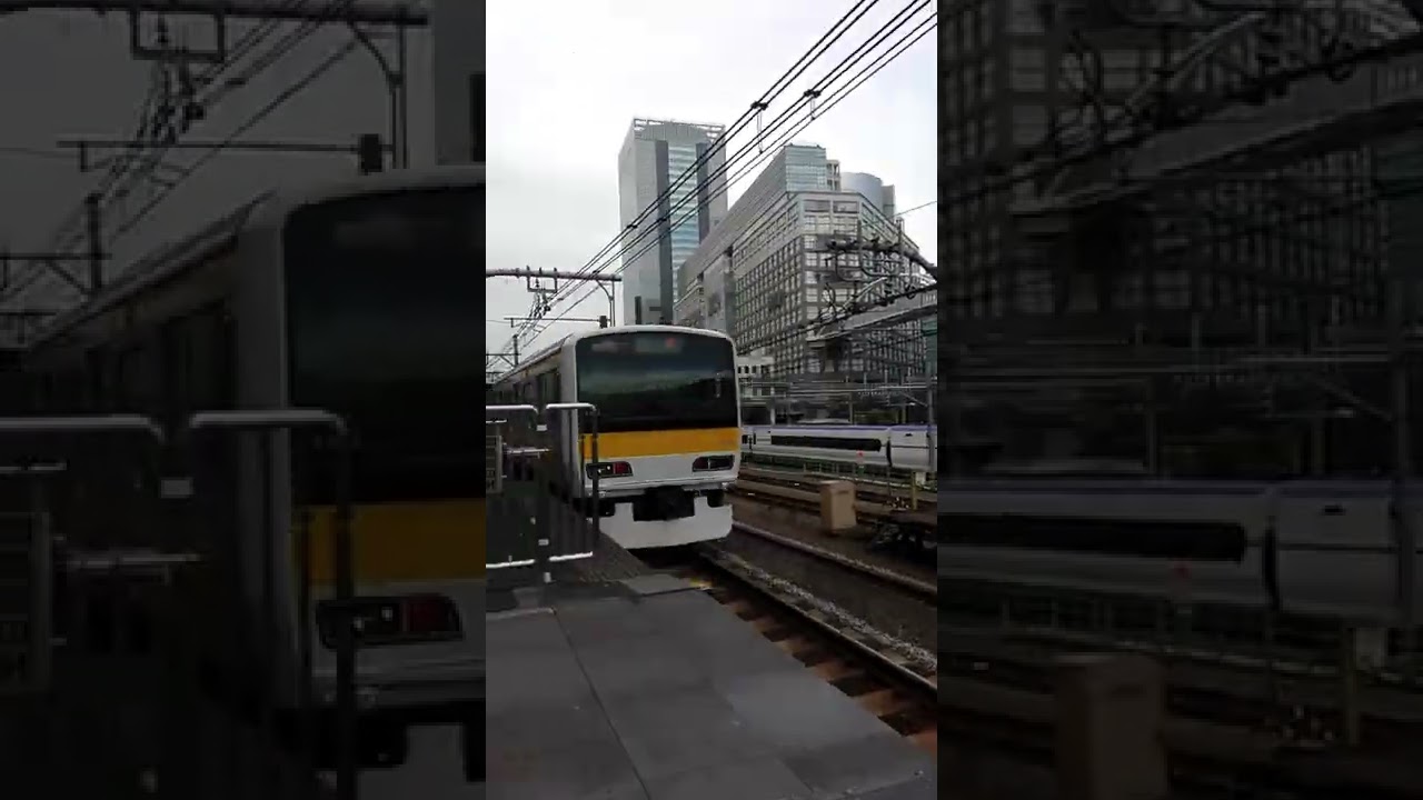 日本總武線加速神阿 +中央線魚尾鈑附送