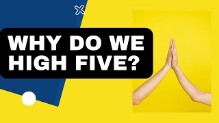 Celebrity Why Do We High Five? Net Worth