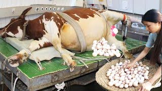 Modern Cow Dairy Farming - Cow Milking Technology Machine - Smart Dairy Farm #Farm #Cows