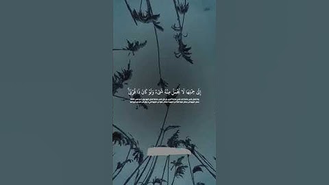 يا أيها الناس أنتم الفقراء إلى الله....#قرآن #تلاوات #الشيخ #تلاوة_خاشعة #bouanai #quran #coran