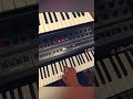Fun jam out session with the Oberheim OB-X8 😌🎼. #funk #shorts #oberheim