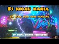 KICAU MANIA-DJ KICAU MANIA X DISAHOLIC X CURI CURI PANDANG VIRAL TIKTOK 2026🔥