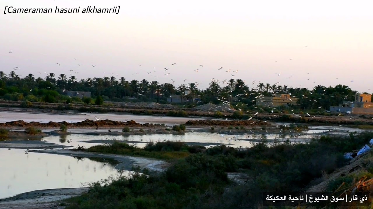 شاهد جمال المناظر الطبيعية من محافظة ذي قار | سوق الشيوخ | ناحية العكيكة