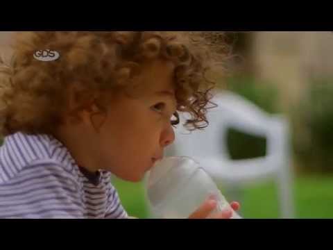 GD პედია - 19 სექტემბრის პრომო