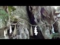 国宝の島、大三島の大山祇神社