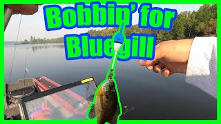 Fishing for Breakfast!