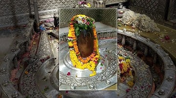 #ujjain#shiv बम बम ujjain Avantika status Mahakal status Ujjain Mahakal status Ujjain Baba status