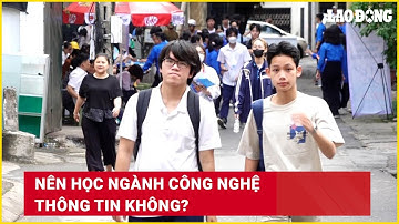 Nên học ngành Công nghệ thông tin không? | Báo Lao Động