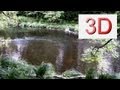3D Video: River &amp; Forest Relaxation #5