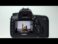 Canon eos 5d mark iv live view af