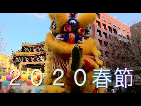 中国獅子舞 舞狮 Lion Dance 横浜中華街 ２０２０春節元宵節燈籠祭 横浜中華学校校友会国術団