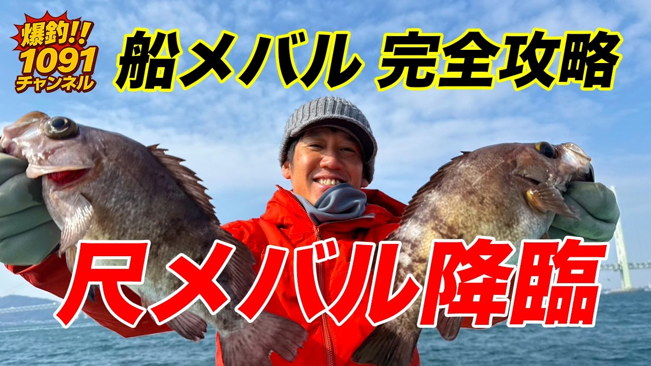 1000回以上のメバル釣りを観てきたエキスパートから学ぶメバル釣りの極意