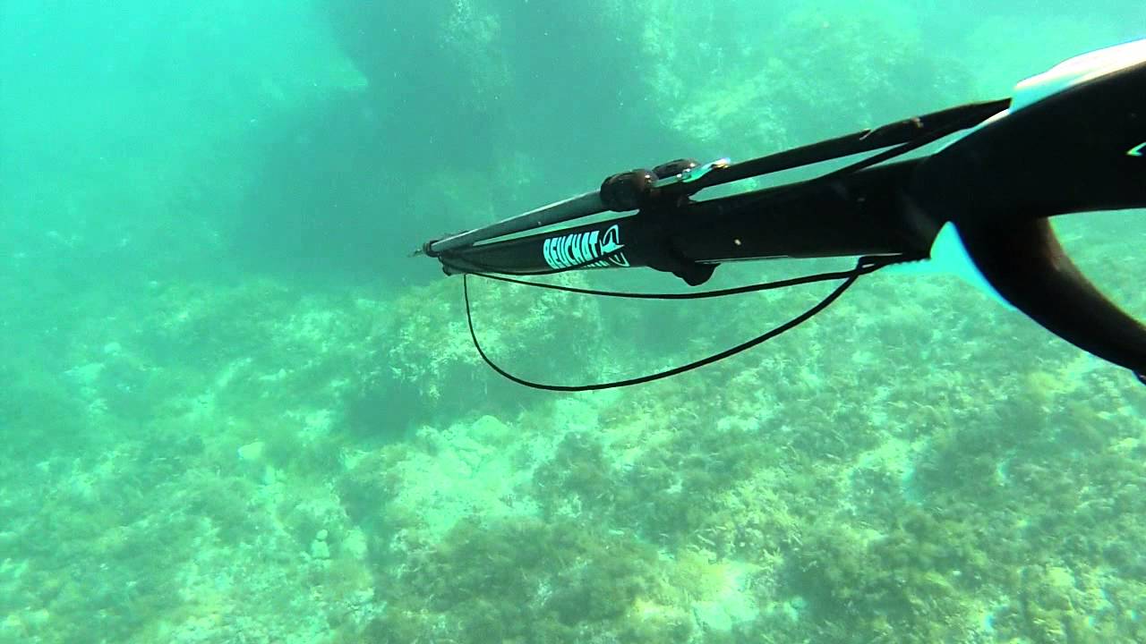 Chasse Sous Marine Sausset Youtube