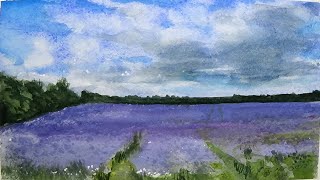 Purple Phacelia Field Watercolour Painting - By Vamos - Slow Life Art