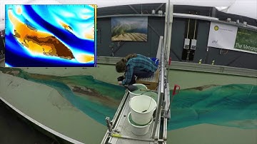 Mud in Estuaries - Lisanne Braat