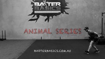 Animal Movement Series -  Baxter Basics Rouse Hill