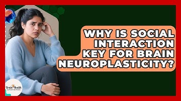 Why Is Social Interaction Key For Brain Neuroplasticity? - Brain Health Support Network