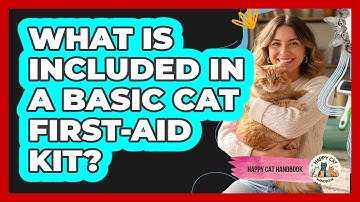 What Is Included In A Basic Cat First-Aid Kit?