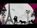 Best French Music for a Romantic Dinner (French Cafe Accordion Traditional Music)