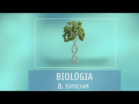 Videó: A Jelenlegi Genomszintű Metabolikus Rekonstrukciós Eszközök Szisztematikus értékelése