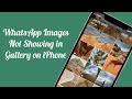 WhatsApp Images Not Showing in Gallery on iPhone iOS 17.3 (Fixed)