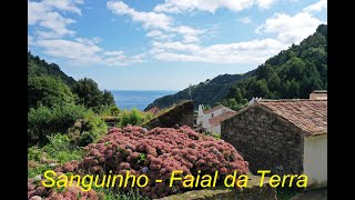 Sanguinho 2022