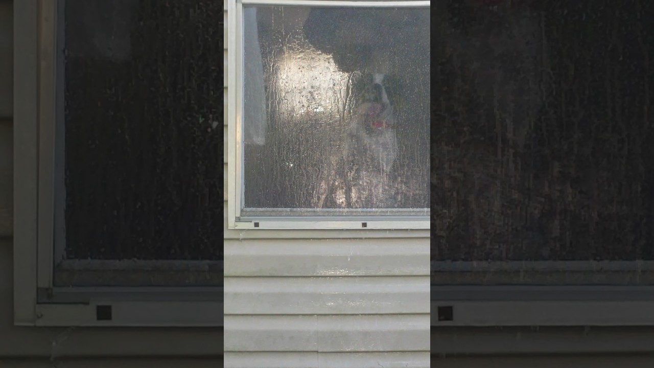 Window Licker YouTube