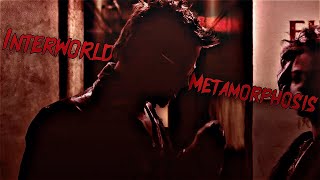 Tyler Durden Velocity Edit (Interworld - Metamorphosis)