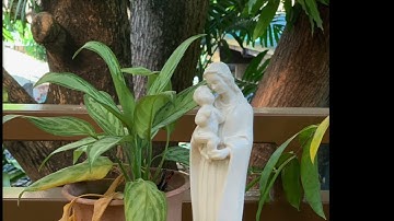 Advent Music Reflection - December 21, 2023 - Thursday of the Third Week of Advent