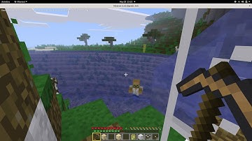 Gaming on the Librem 14