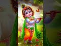 Joy sree krishna viralkrishnalove harekrishna gopal gobindas