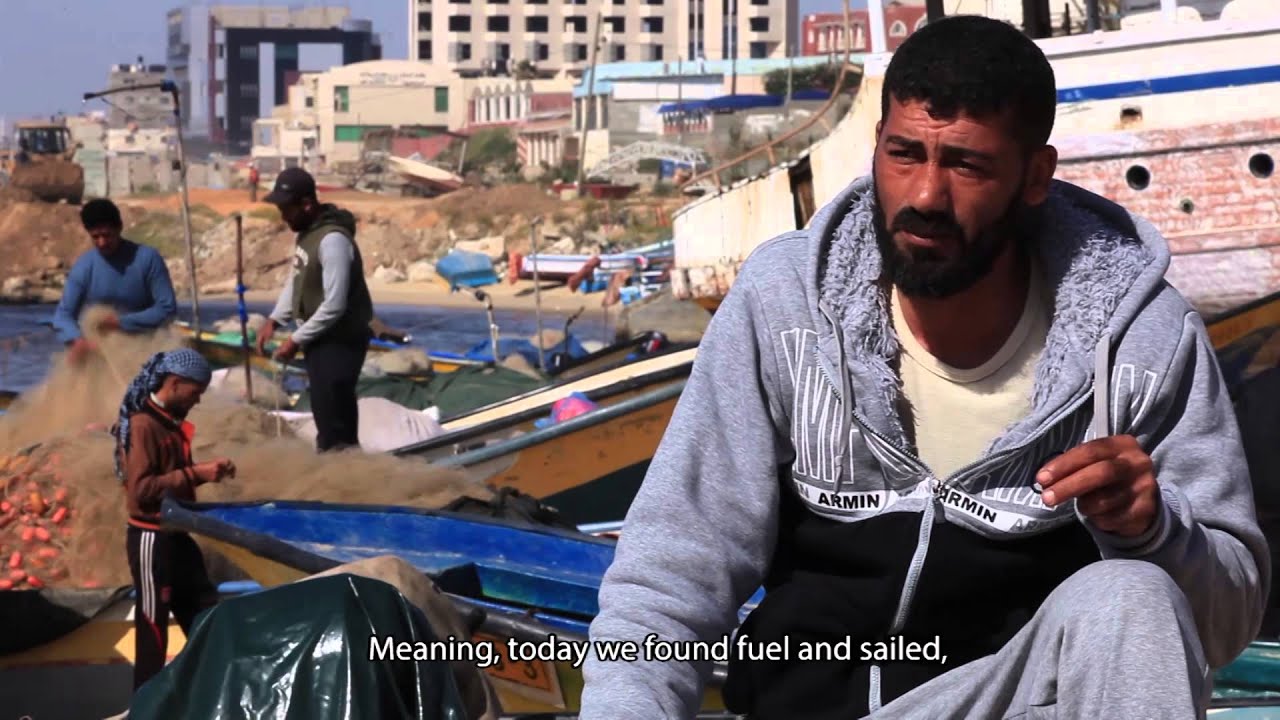 law of supply and demand Life in Gaza: Fishermen