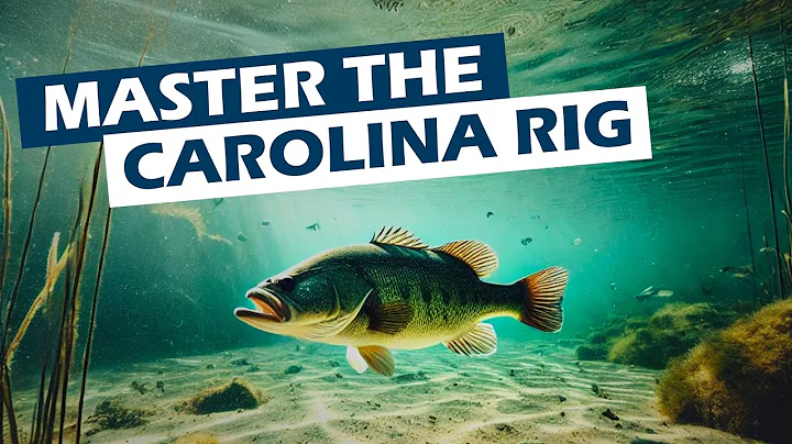 [US FISHING] Master the Carolina Rig: The Ultimate Guide to Bass Fishing Success!