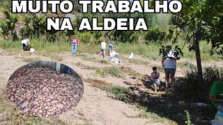 COMO E A REALIDADE MORANDO EM ALDEIA NO INTERIOR DO PORTO EM PORTUGAL 🇵🇹/#Ganhei muitas coisas# 🙏.