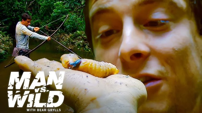 Bear Grylls' Secrets for Surviving in the Temperate Zone, Man Vs. Wild