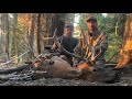 Archery elk hunt success 2022. Two brothers get it done opening week.