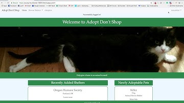 AdoptDontShopDemo