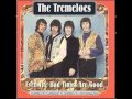 The TREMELOES - Fa La La La La La Le