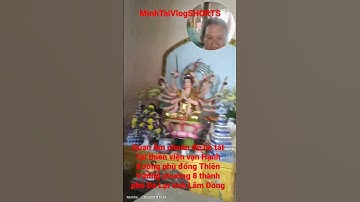 Quan Âm chuẩn đề bồ tát Tại thiền viện vạn Hạnh TP ĐL #MinhTàiVlogSHORTS
