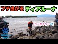 こんなところで予想だにしない大物が！！【六畳一間の狼コラボ】