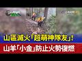 山區滅火「超萌神隊友」！ 山羊「小金」防止火勢復燃