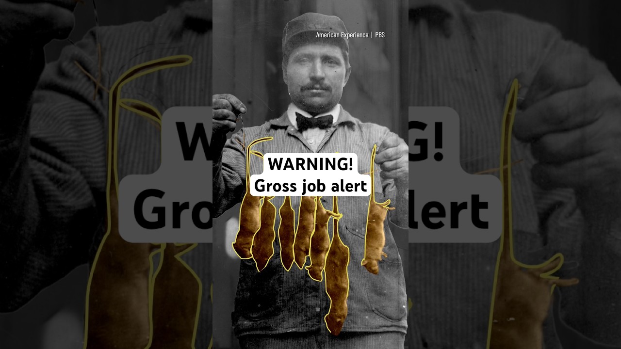 Would you catch a rat with your bare hands?!