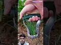 Vegetable transplanter, making vegetable transplanting more efficient and easier!