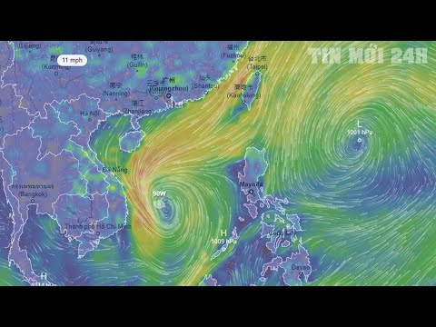 Video Dự báo thời tiết hôm nay và ngày mai 17/10 | Dự báo... - youtube