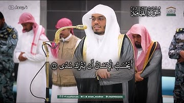 تلاوة عذبة لسورة القيامة لفضيلة الشيخ أ.د. ياسر الدوسري || عشاء الثلاثاء 4 صفر 1447هـ