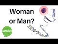 Woman or Man? | practice English with Spotlight